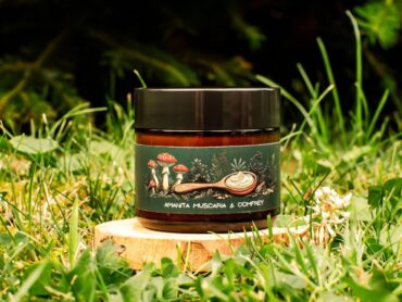 {{brizy_dc_image_alt entityId=