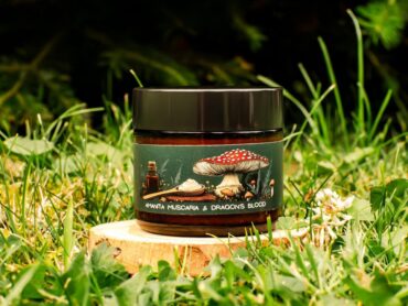 {{brizy_dc_image_alt entityId=