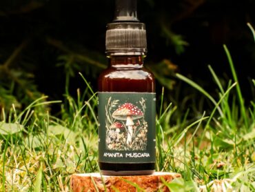 {{brizy_dc_image_alt entityId=