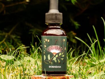 {{brizy_dc_image_alt entityId=