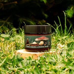 amanita muscaria and dragons blood