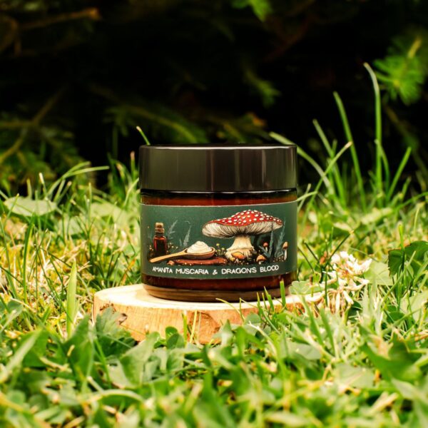 amanita muscaria and dragons blood