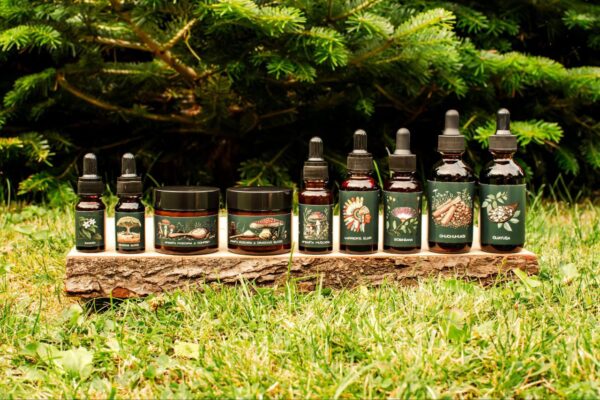 Krem z Amanity Muscaria i Dragon's Blood