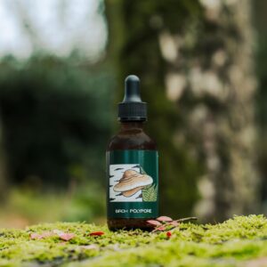 Białoporek brzozowy