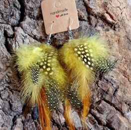 {{brizy_dc_image_alt imageSrc=