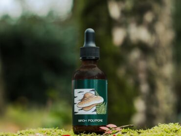 {{brizy_dc_image_alt entityId=