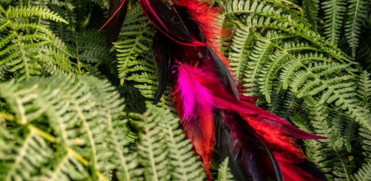 {{brizy_dc_image_alt imageSrc=