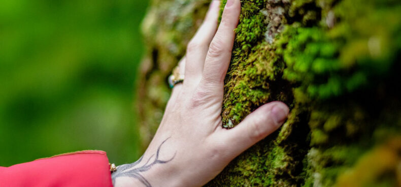 {{brizy_dc_image_alt imageSrc=