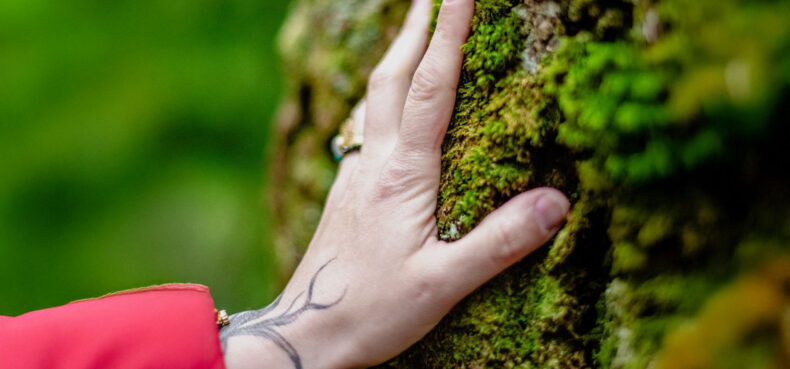 {{brizy_dc_image_alt imageSrc=