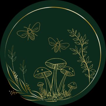 {{brizy_dc_image_alt imageSrc=