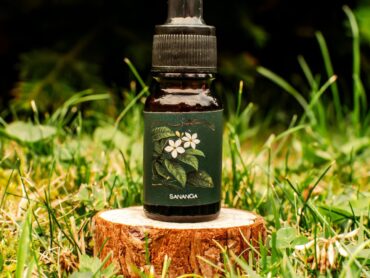 {{brizy_dc_image_alt entityId=